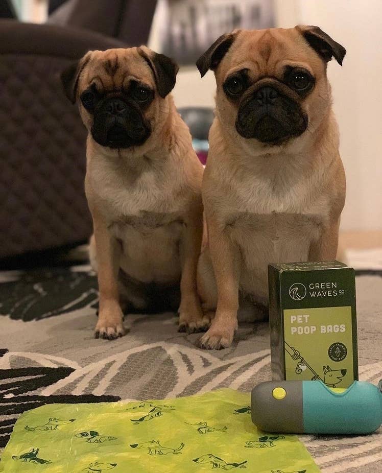 Poop Bag Dispenser with LED Flashlight: Blue