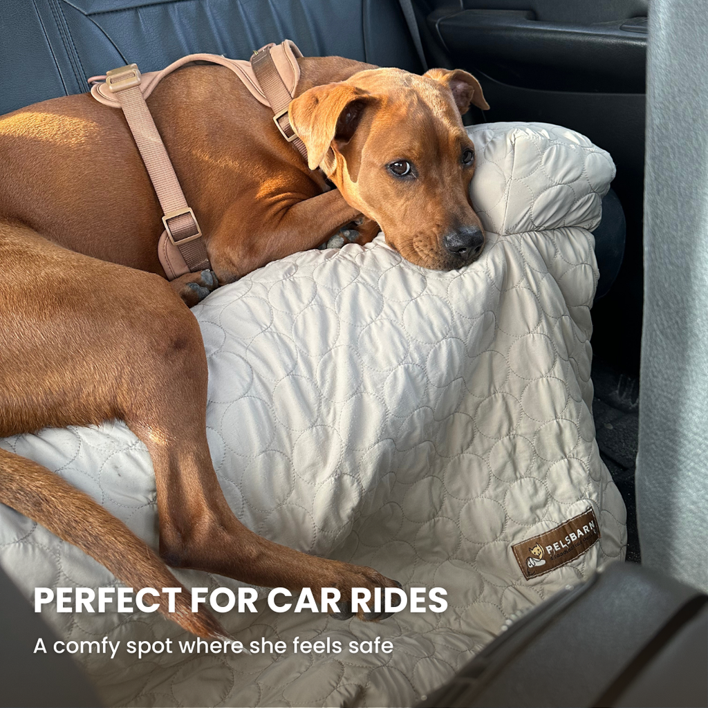 Cooling Dog Bed Heat Relief - Pelsbarn : Light Blue / M/L