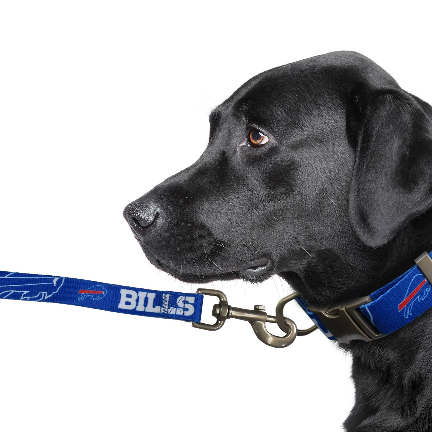 NFL Buffalo Bills Premium Pet Lead: 3Q