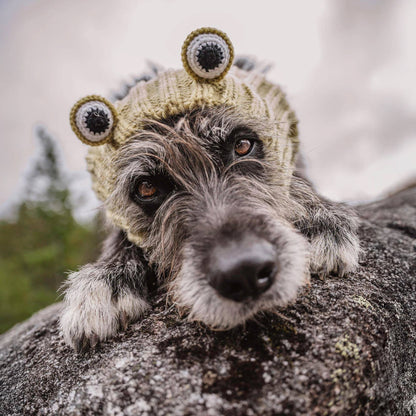 Frog Dog Snood