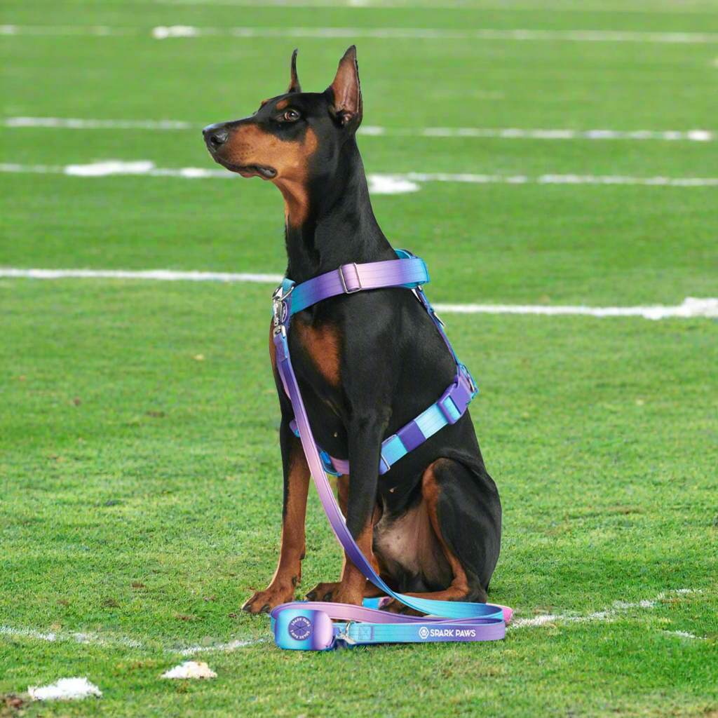 Comfort Control No-Pull Dog Harness - 90s Retro