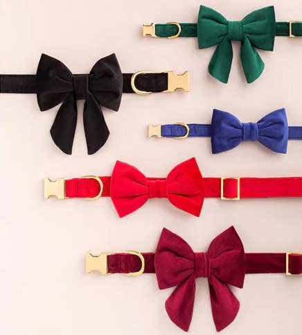 Cranberry Velvet Dog Collar: Gold