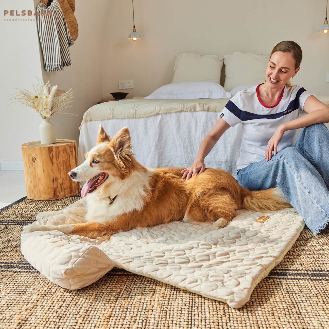 Cooling Dog Bed Heat Relief - Pelsbarn : Beige / M/L