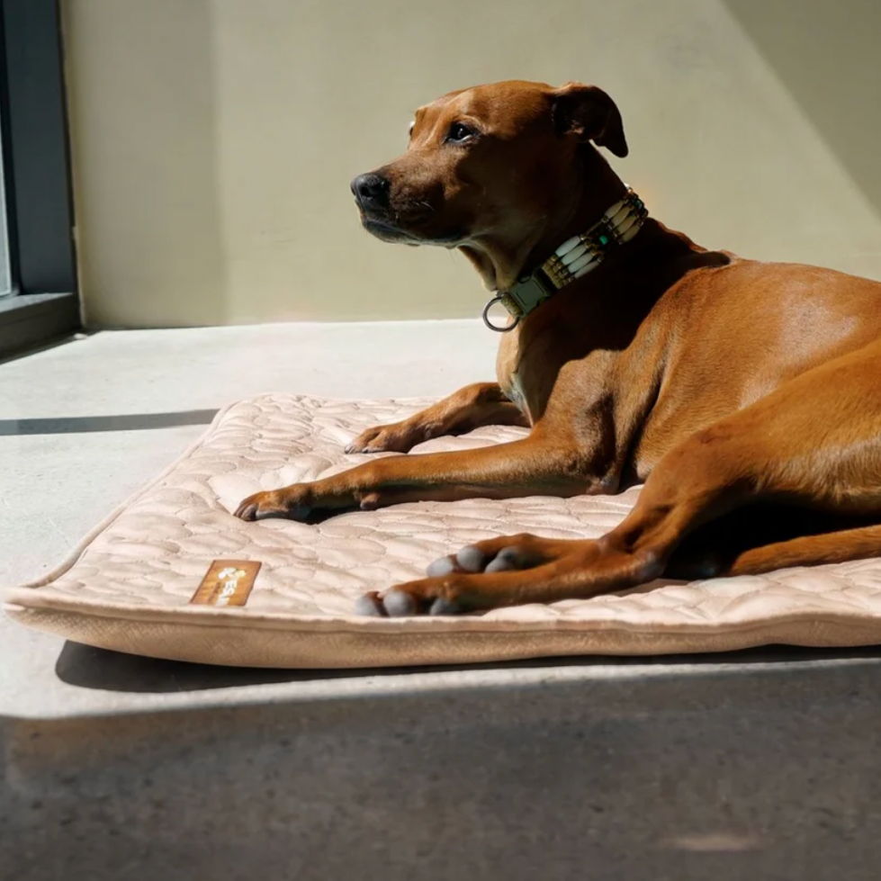 Cooling Mat - Pelsbarn 🐾: Beige / XL