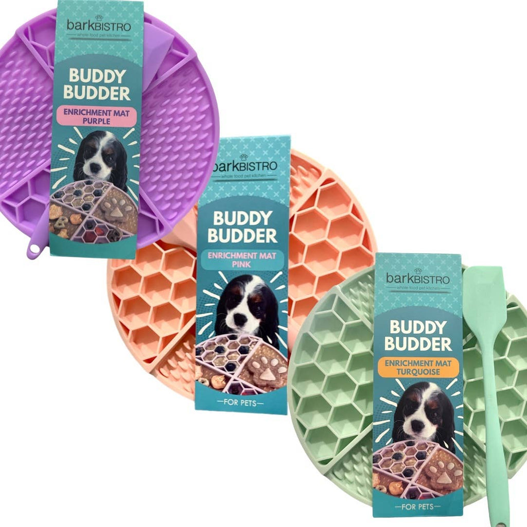 Turquoise / Pink Lickmats + Spatula