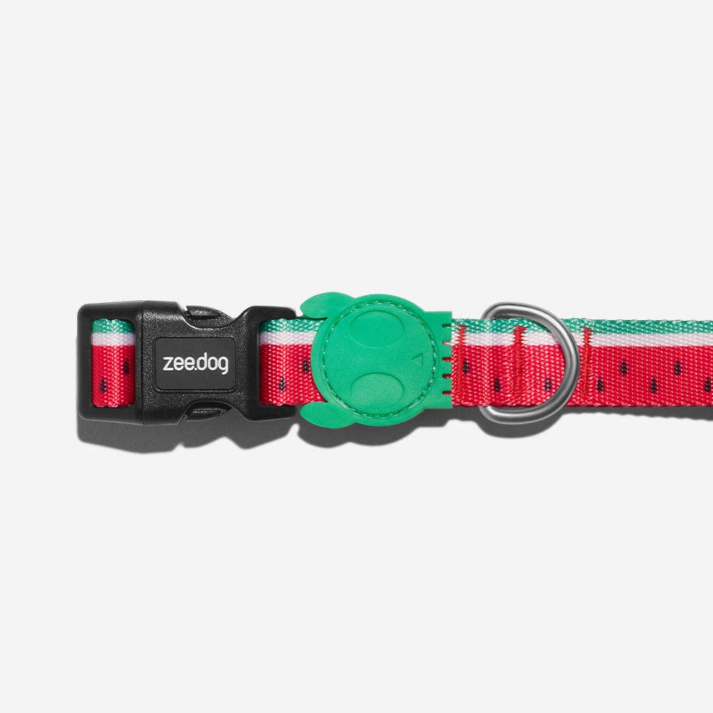 Lola | Dog Collar: Medium