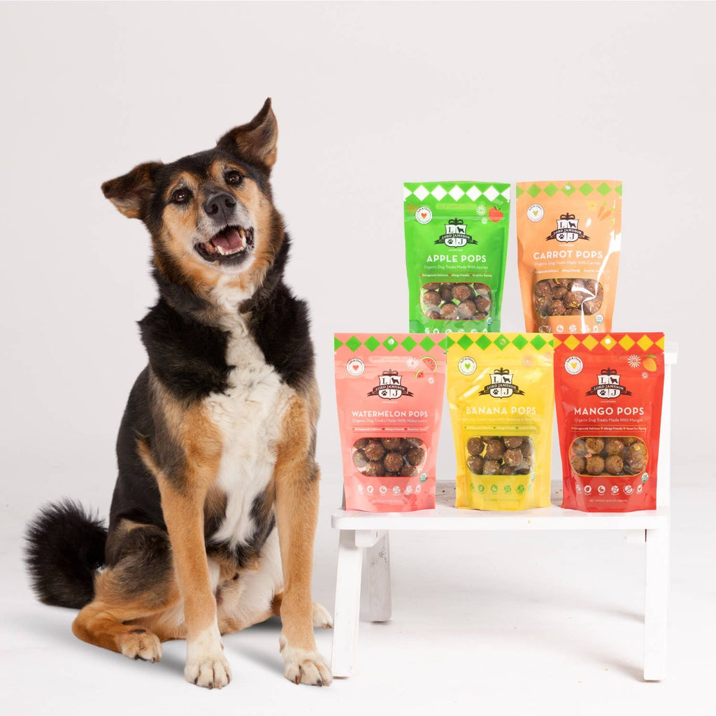 Lord Jameson Banana Pops Organic Soft & Chewy Dog Treats 6oz