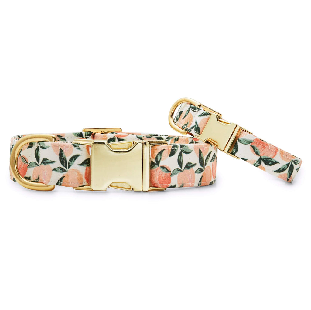 Peaches and Cream Dog Collar: S/ Gold