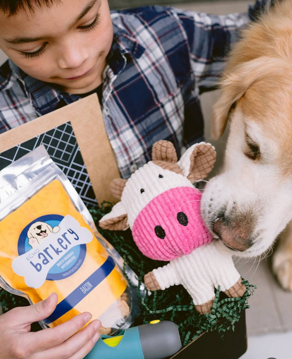 Poop Bag Dispenser with LED Flashlight: Blue