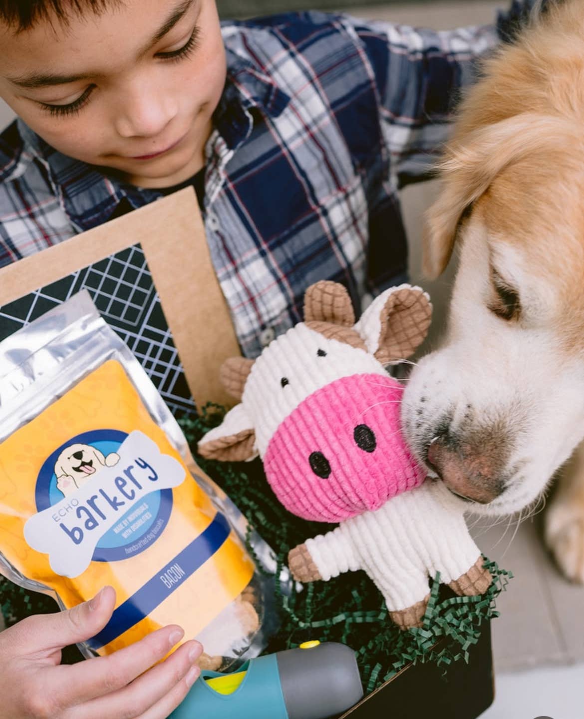 Poop Bag Dispenser with LED Flashlight: Blue