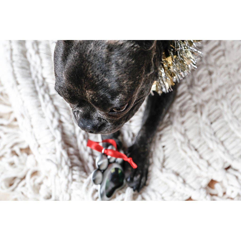 Paw Shaped Pet Picture Holiday Ornament, Silver, Christmas