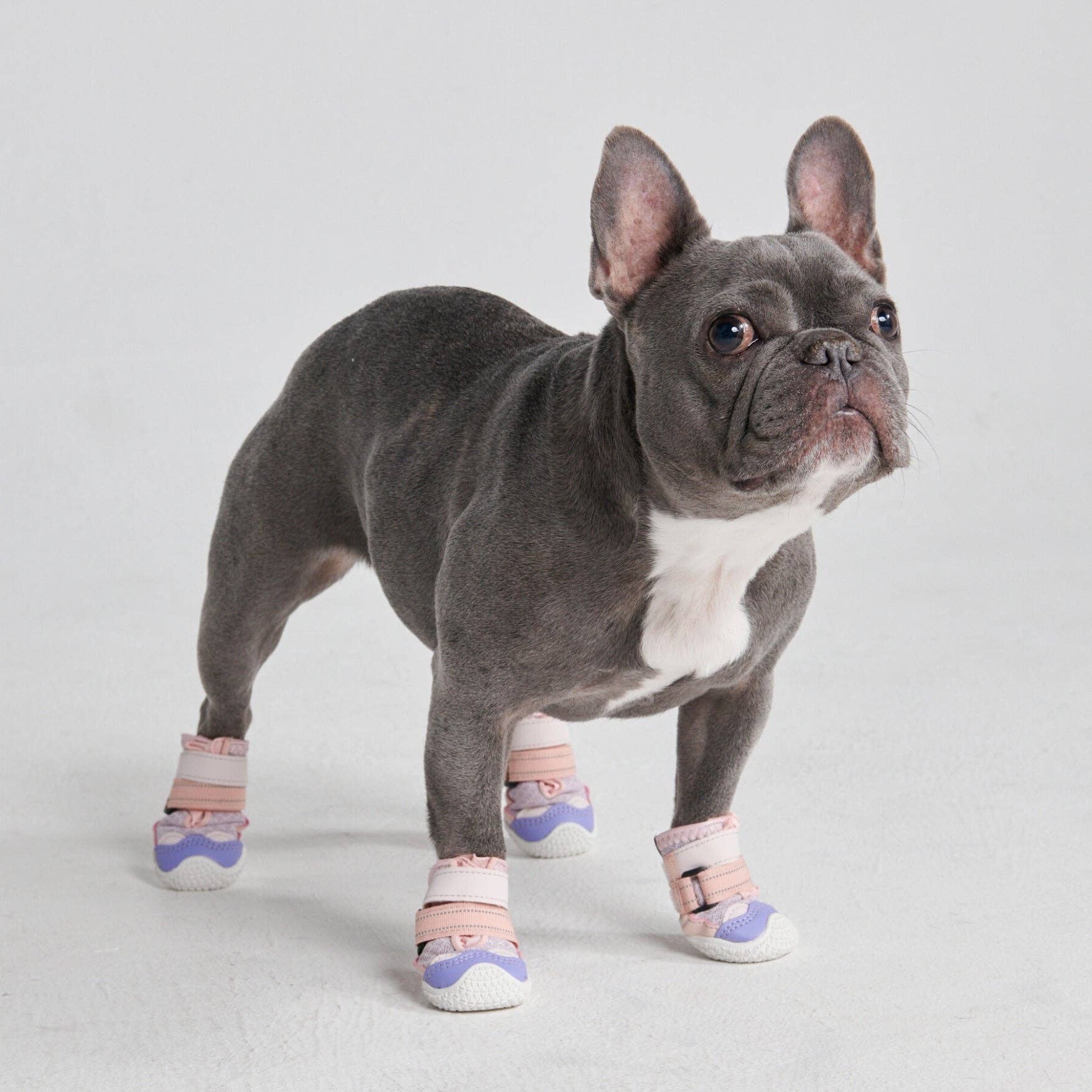 Hot Pavement Pawtector Dog Shoes - Pink Purple: B) Width: 2.0"/5.0cm for 23-33lbs/10-15kg