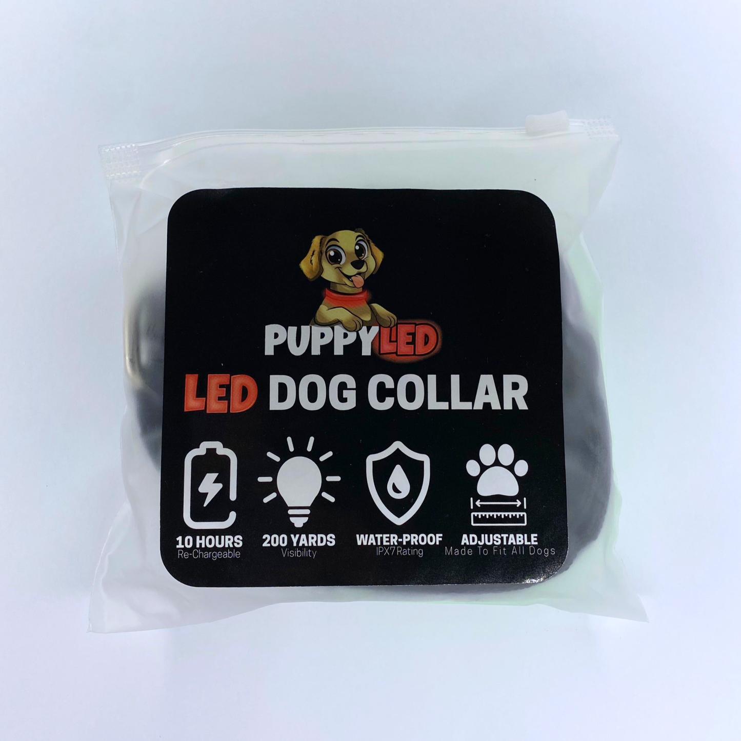 LED Dog Collar: Blue / Small