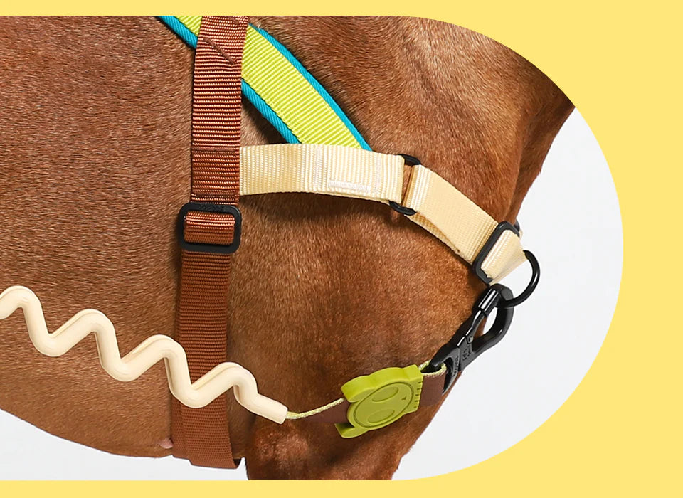 Avocado | SofterWalk Harness