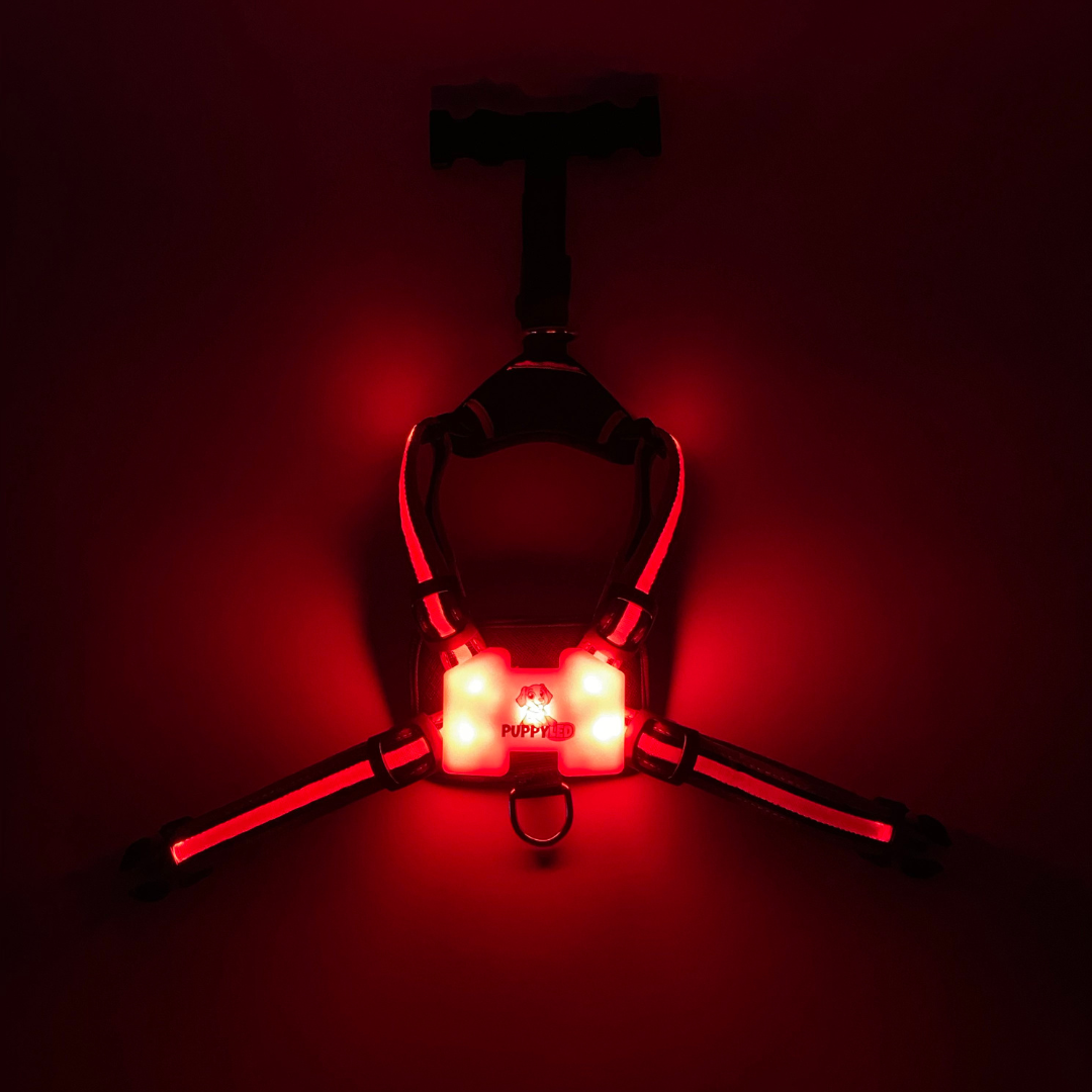 LED Dog Harness