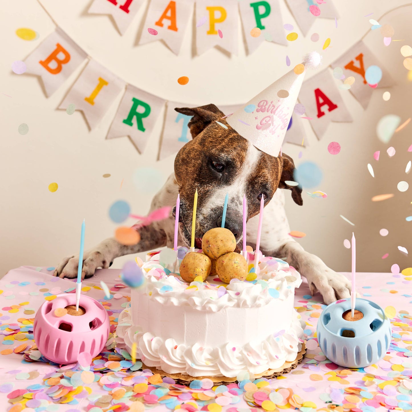 Party Pupsicle: Pink