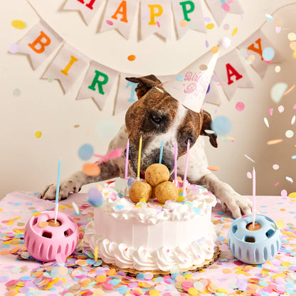 Party Pupsicle: Pink