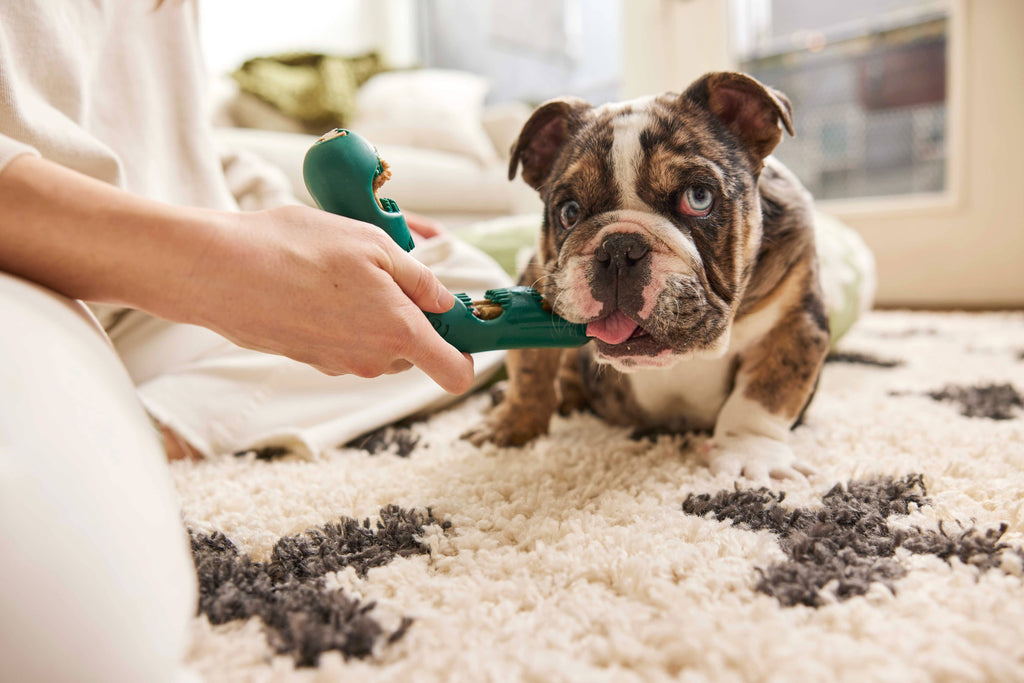 The Bite n' Brush: Small