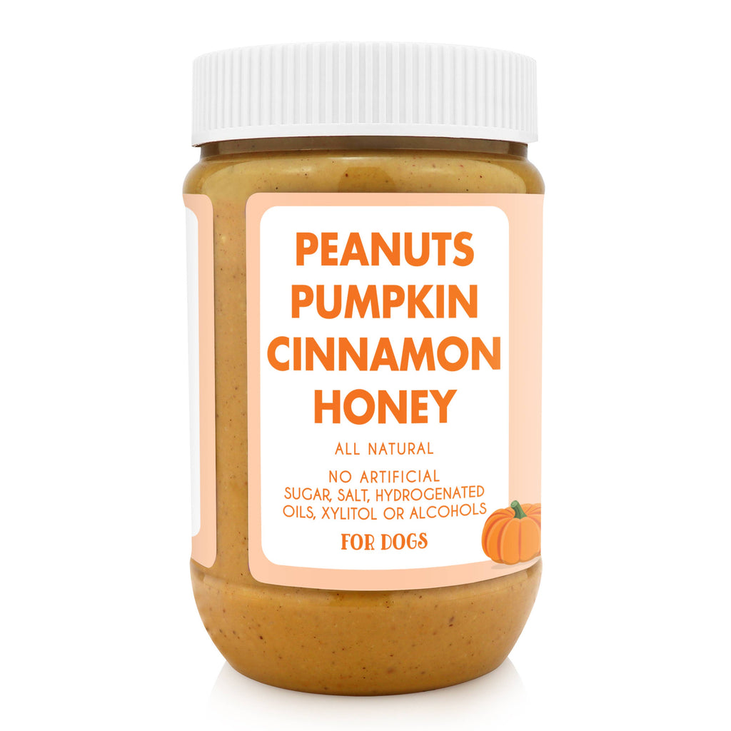 Dog Peanut Butter Pumpkin Pup Buddy Budder: 17oz.