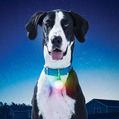 Nite Ize SpotLit XL Rechargeable Collar Light-Disc-O Select