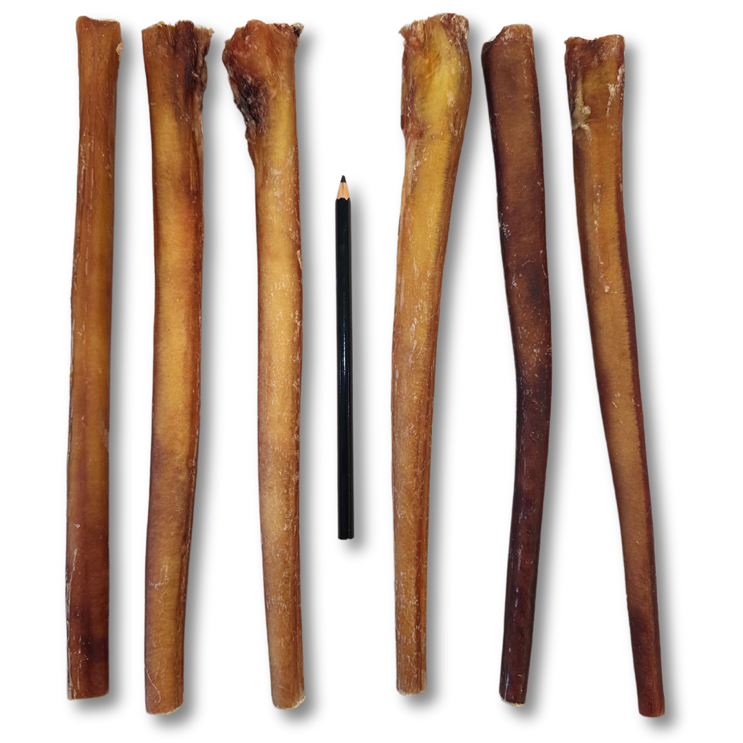 12" Jumbo Bully Sticks