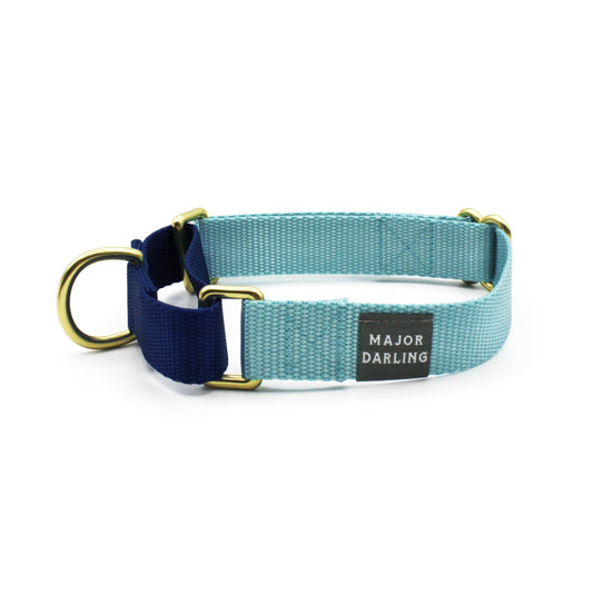 Ice Blue with Navy Martingale Collar