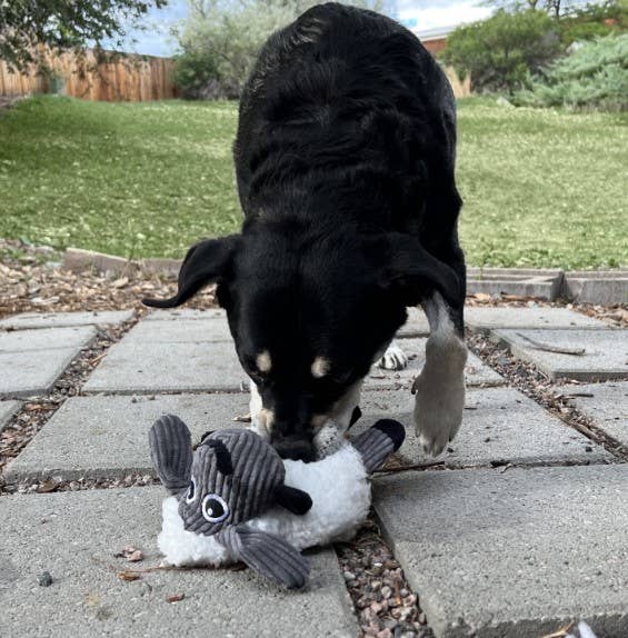 KONG® Sherps Floofs Sheep Dog Plush Toy Medium