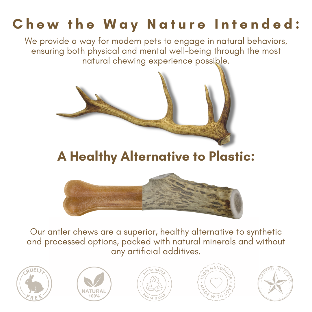 *SPLIT-CUT* ELK Antler Chew