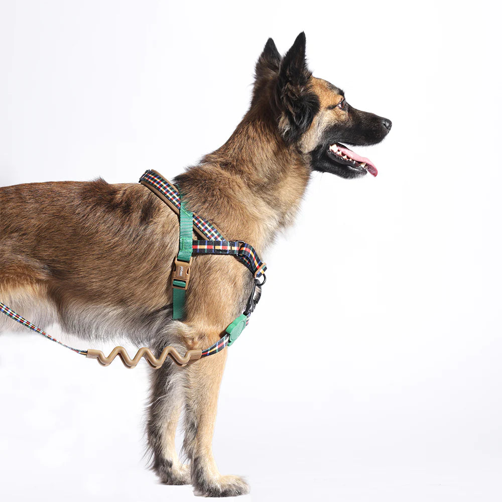Travis | SofterWalk Harness