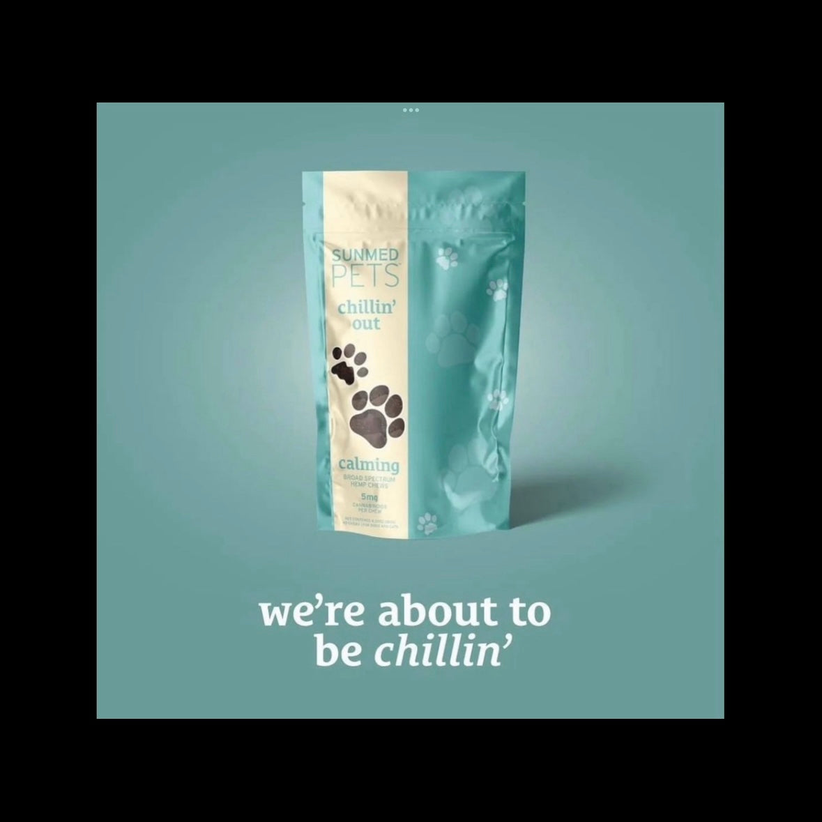 Sunmed Chillin CBD Chews