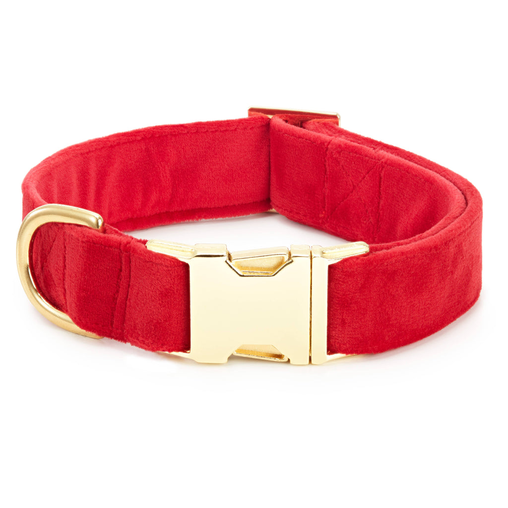 Cranberry Velvet Dog Collar: Gold