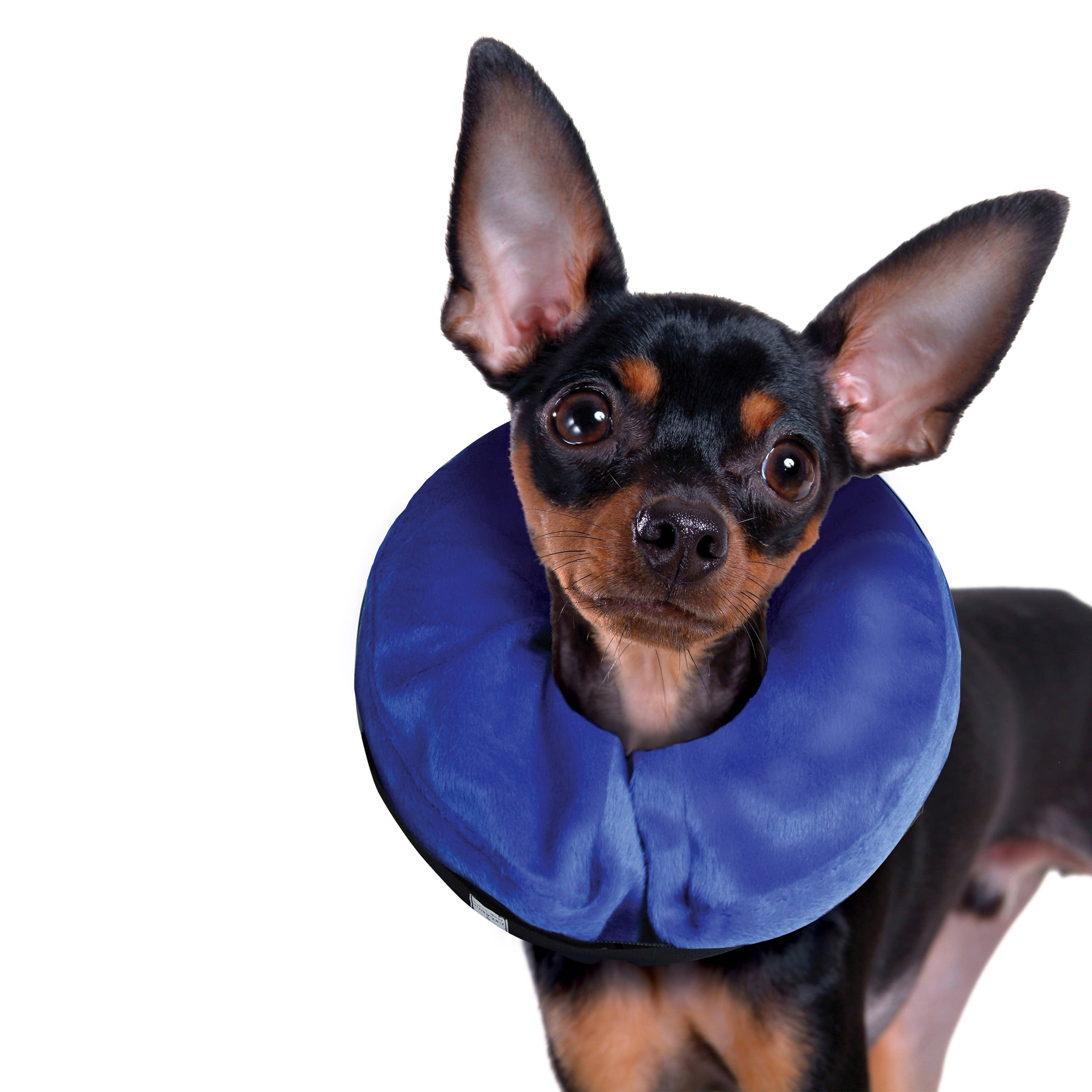 KONG® E-Collar Cloud® Small
