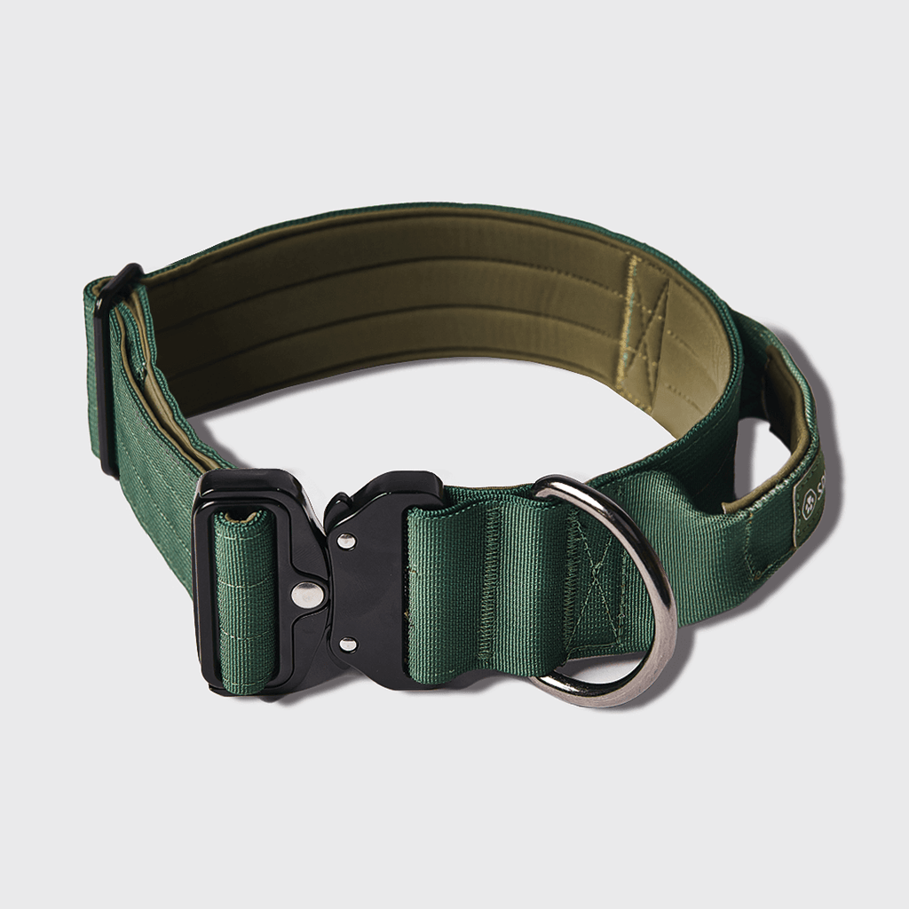 Tactical Dog Collar - Army Green (2"/5cm): S