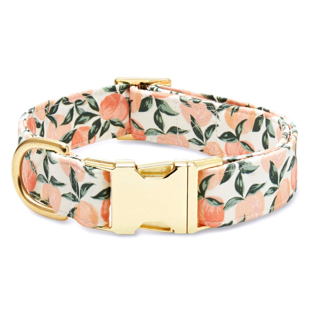 Peaches and Cream Dog Collar: S/ Gold
