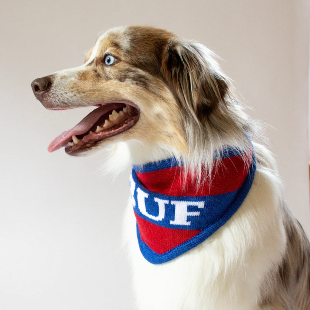 Buffalo Knit Bandana