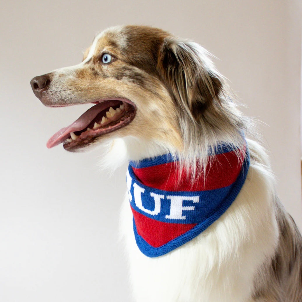 Buffalo Knit Bandana