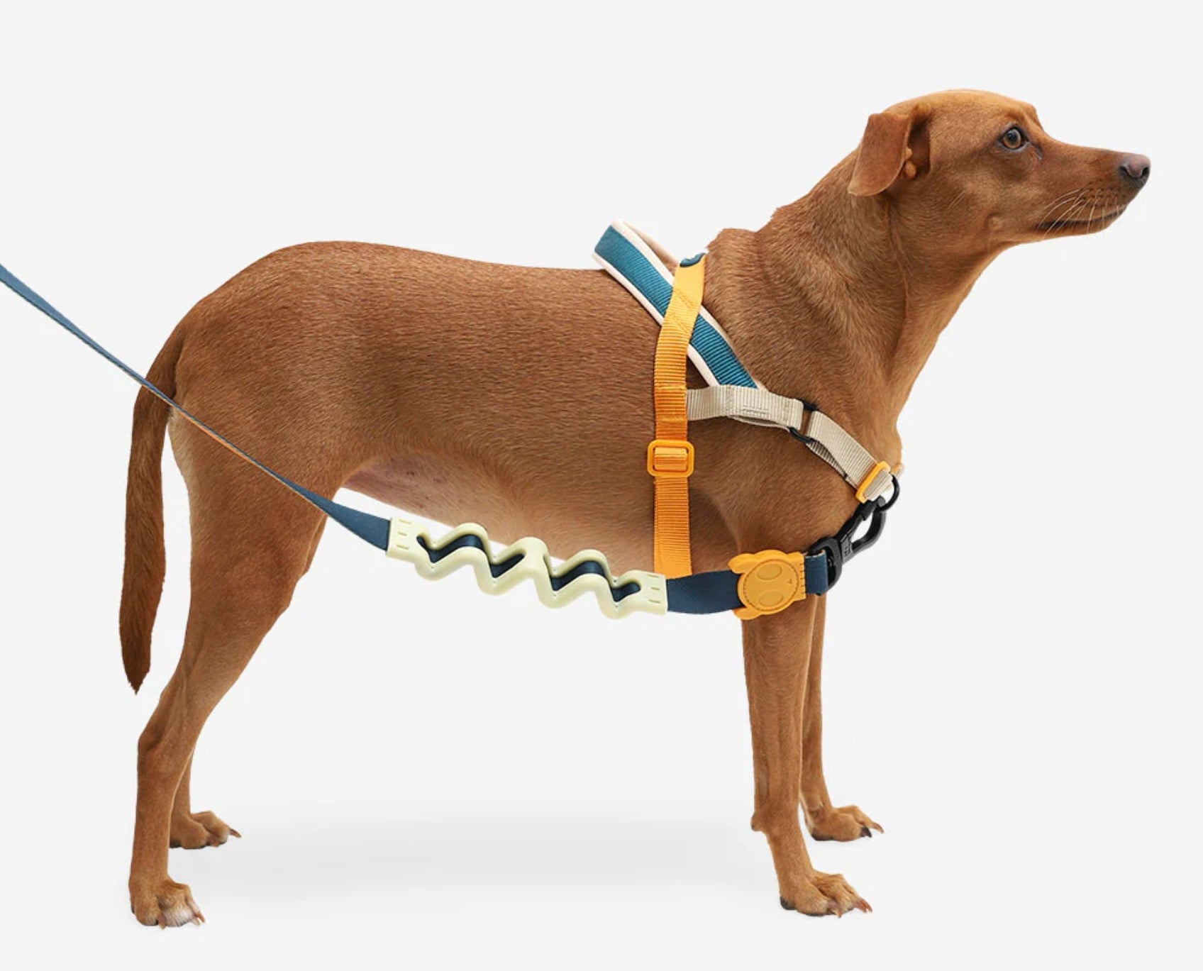 Voyager | Ruff Leash 2.0