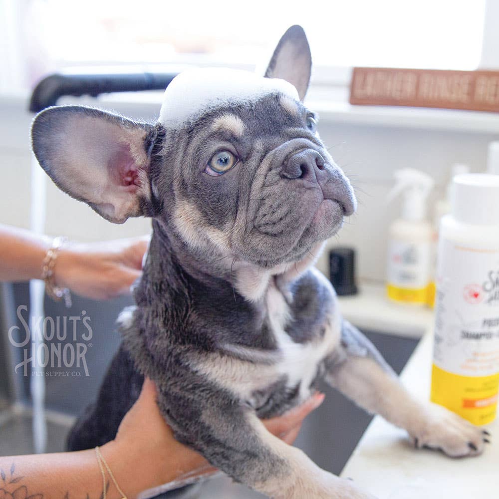 Skout's Honor Probiotic Shampoo+Conditioner Honeysuckle 16oz