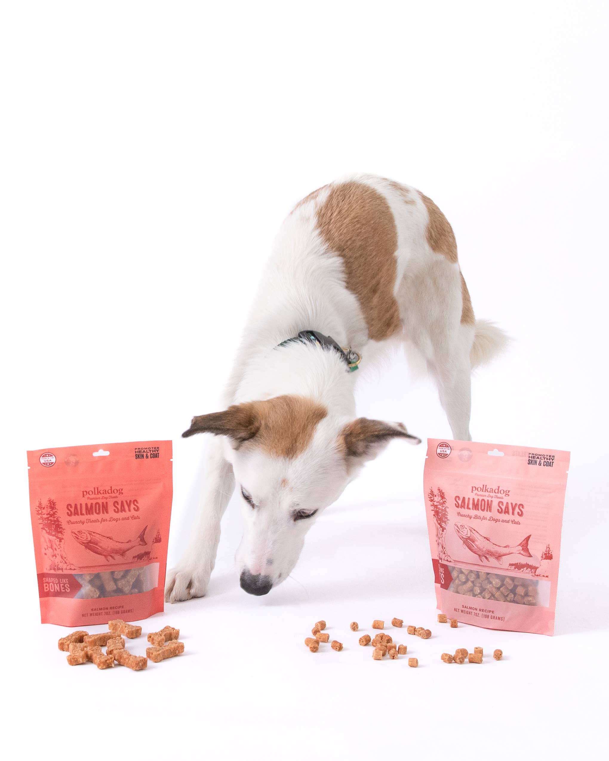 Salmon Says (Bone Shaped) - 7oz - Dog Treats