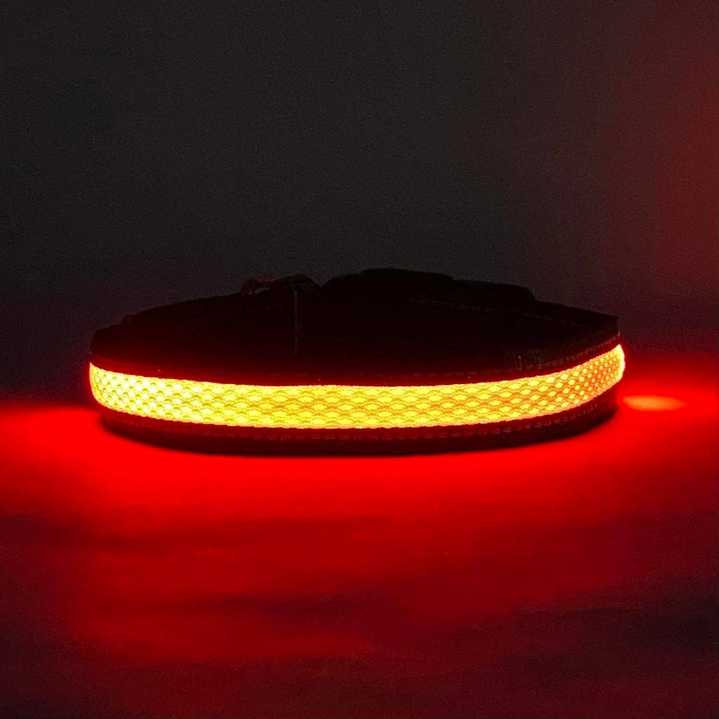 LED Dog Collar: Red