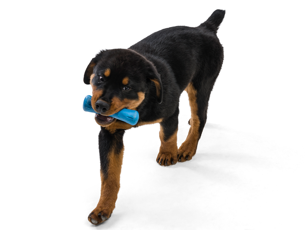 Drifty® Dog Toy for Chew, and Fetch: Small / Hibiscus