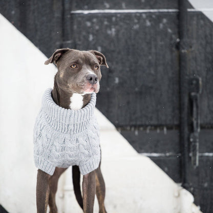 GF Pet Chalet Dog Sweater - Grey: 3XS