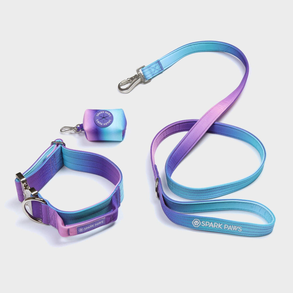 Comfort Control Dog Leash - 90s Retro: OS