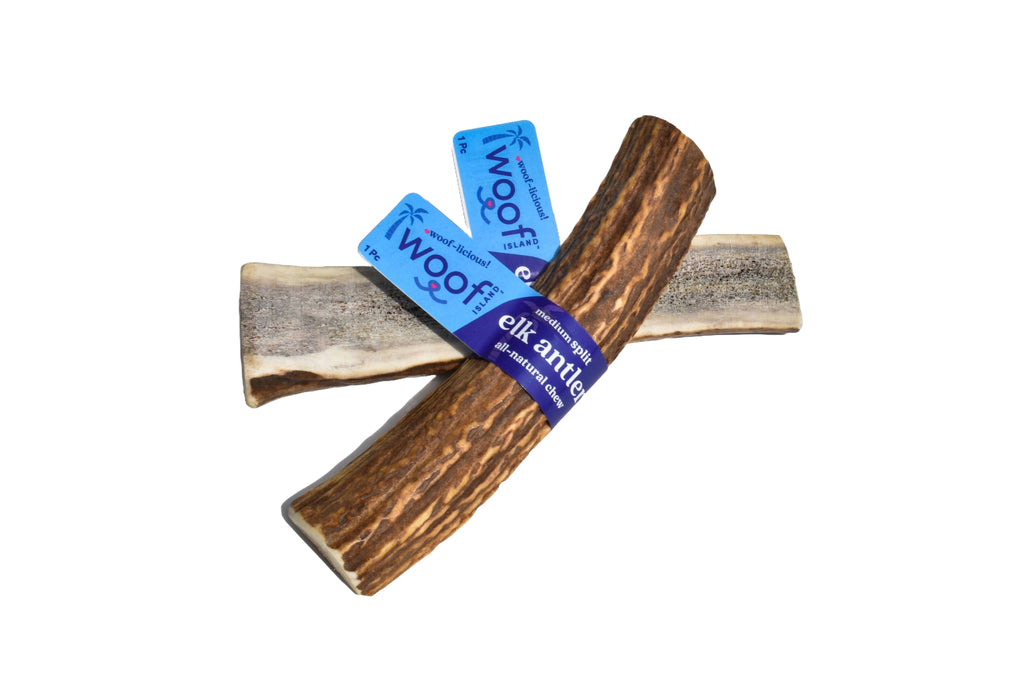 Elk Antler (Medium) - Split: Single