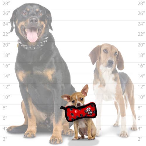 Tuffy Jr Bone 2 - Red Paw, Durable, Tough, Squeaky Dog Toy