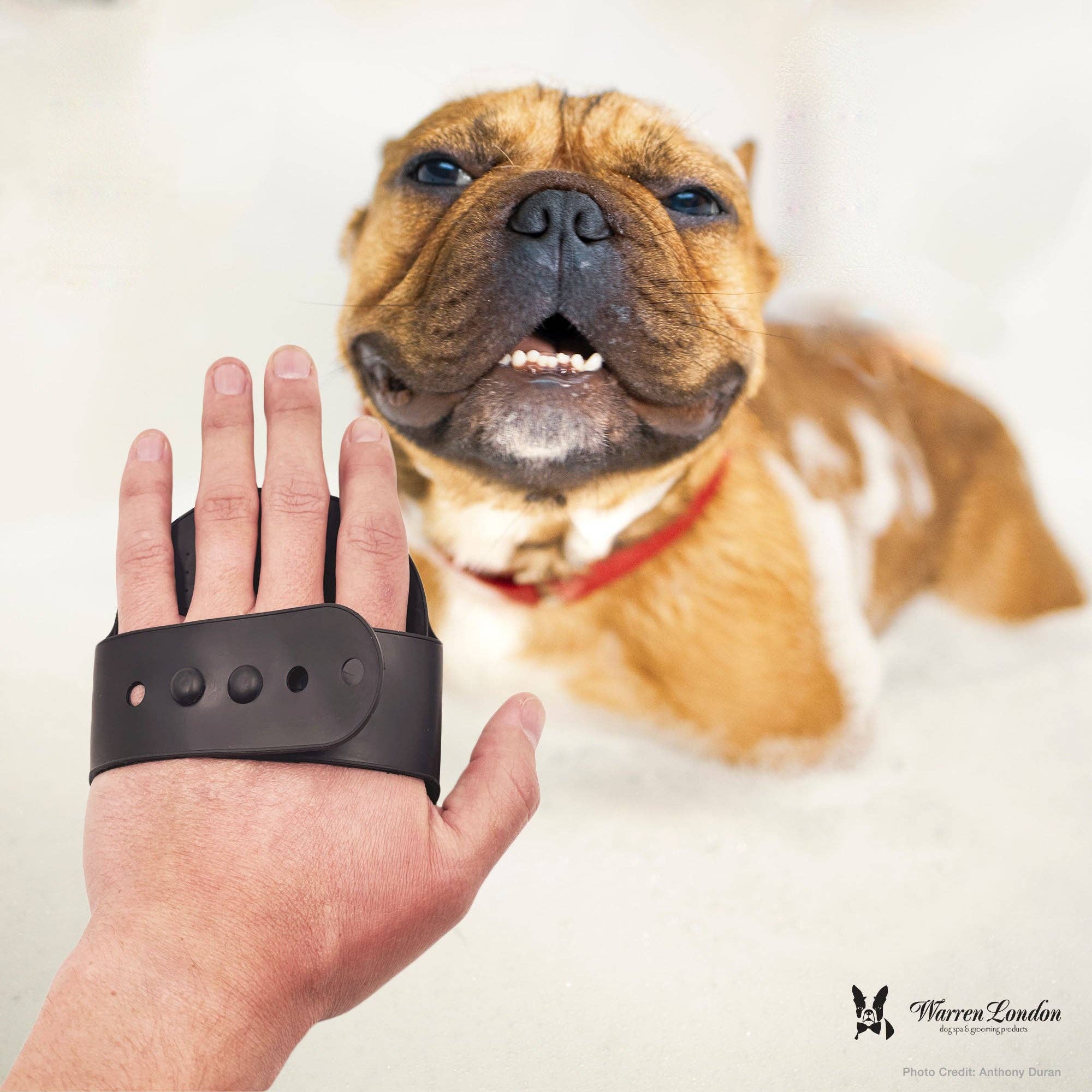 Grooming Bath Brush: Red