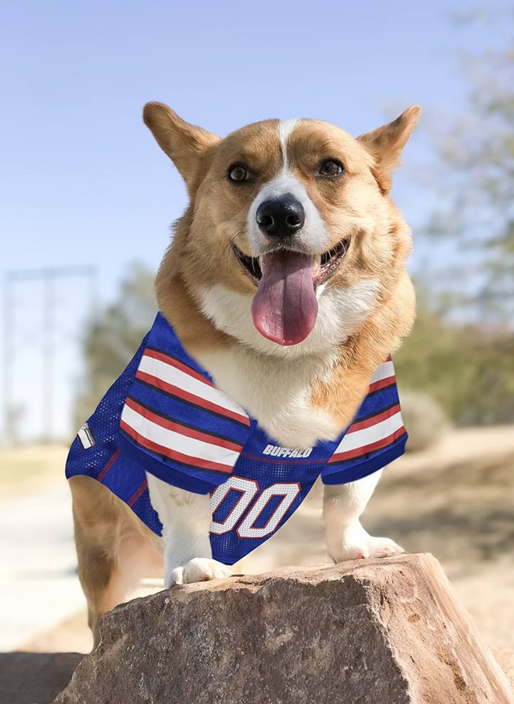 NFL Buffalo Bills Pet Mesh Jersey