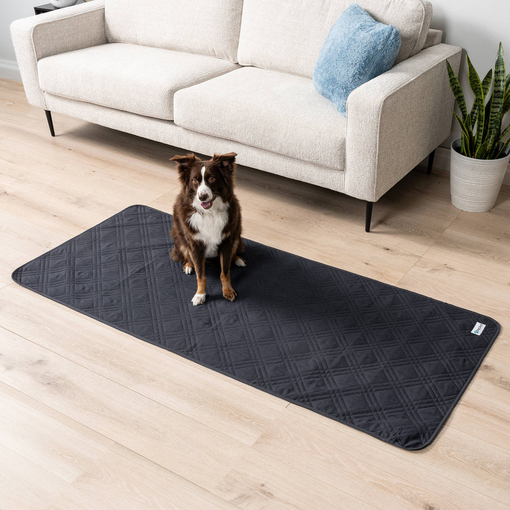 Waterproof Pet Furniture Cover Couch Protector: Olive Green / Large - 68" x 82"