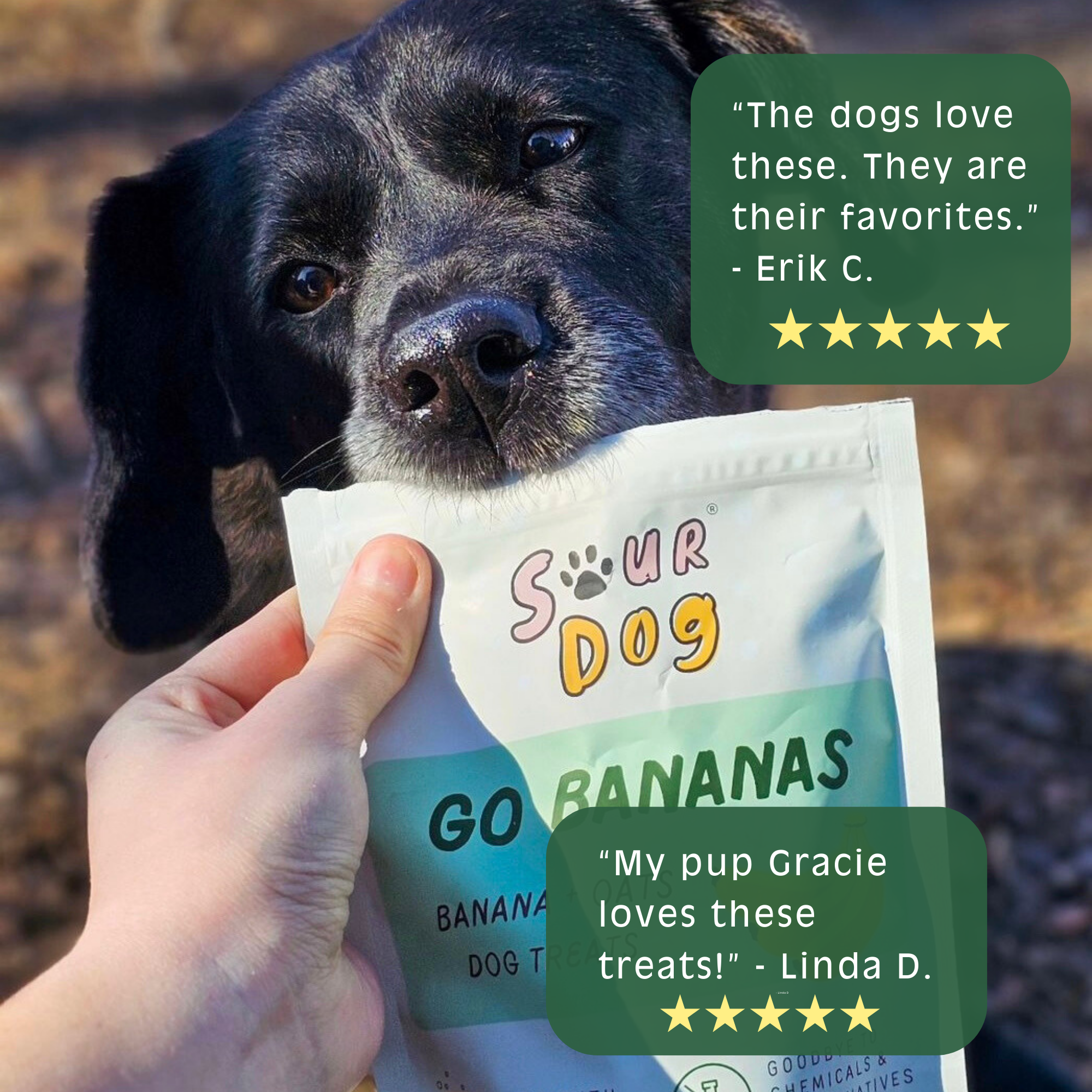 Go Bananas - Banana Sourdough Dog Treats
