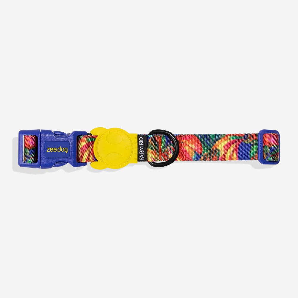 Samba | Collar: Medium